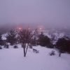 Оттепель. Туман 🌫