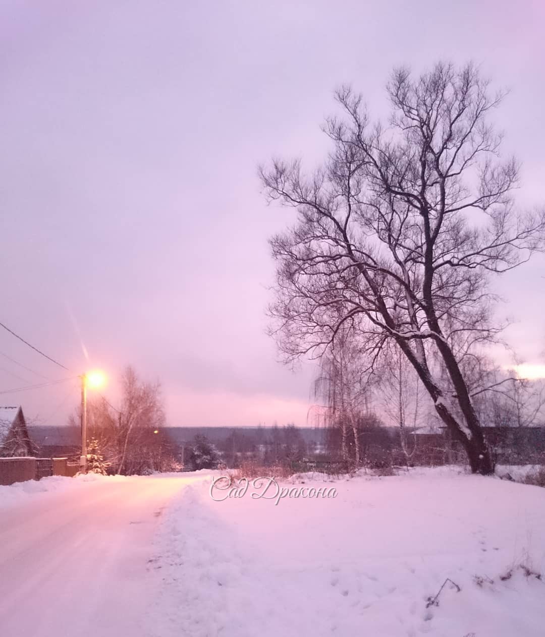 Деревенская улица под вечер. ????? Our village in December.