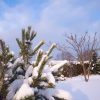 Сегодня повезло немножко с солнышком и синим небом 😊☀💙 А на закате поднялась метель! ❄ 🌪 💨