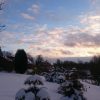 Конец декабря. 🌲❄⛄