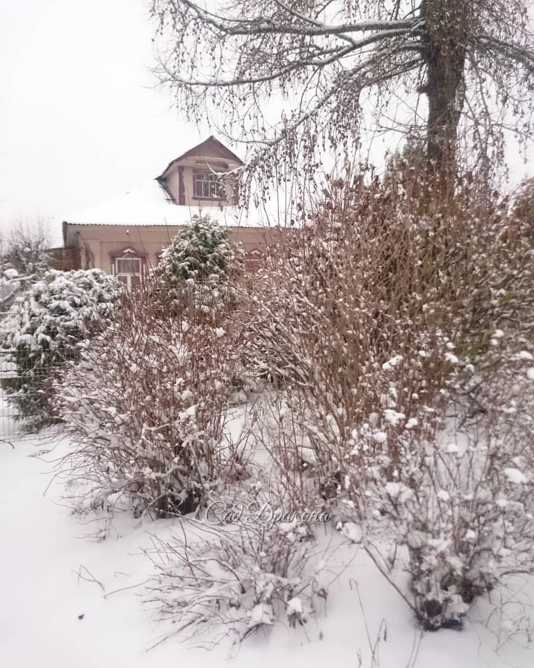 Наш домик почти не видно с улицы 🌲❄🌳❄🌾❄