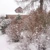 Наш домик почти не видно с улицы 🌲❄🌳❄🌾❄