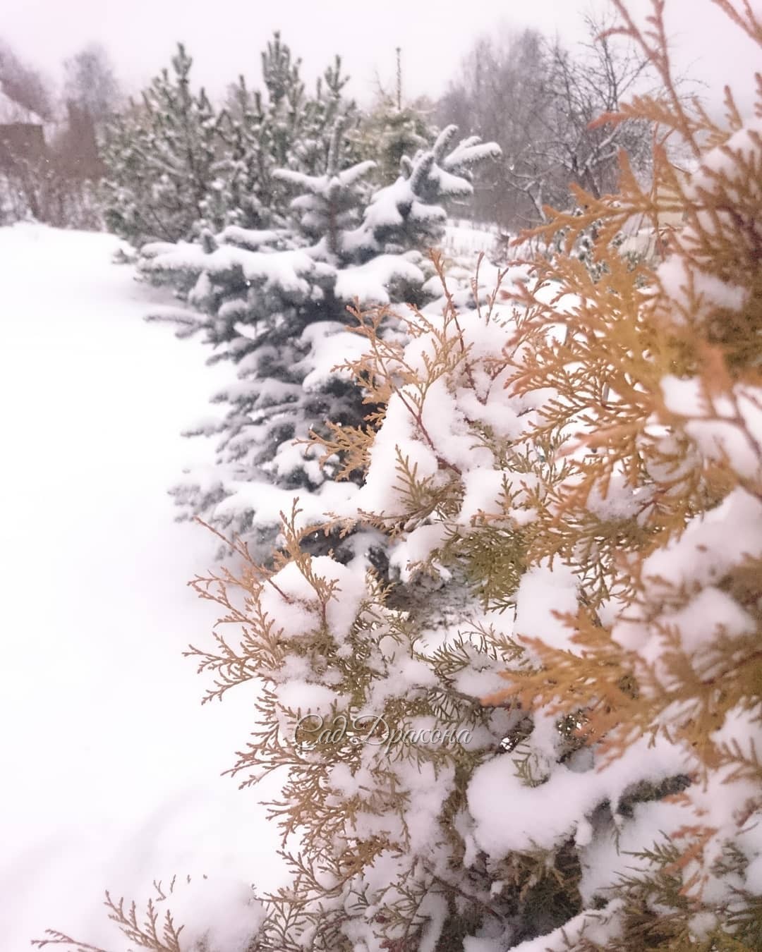 Белое с золотом ?? Нарядная зима! ???