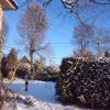 Чудесный день, снежок нападал, блестит на солнце! ❄☀