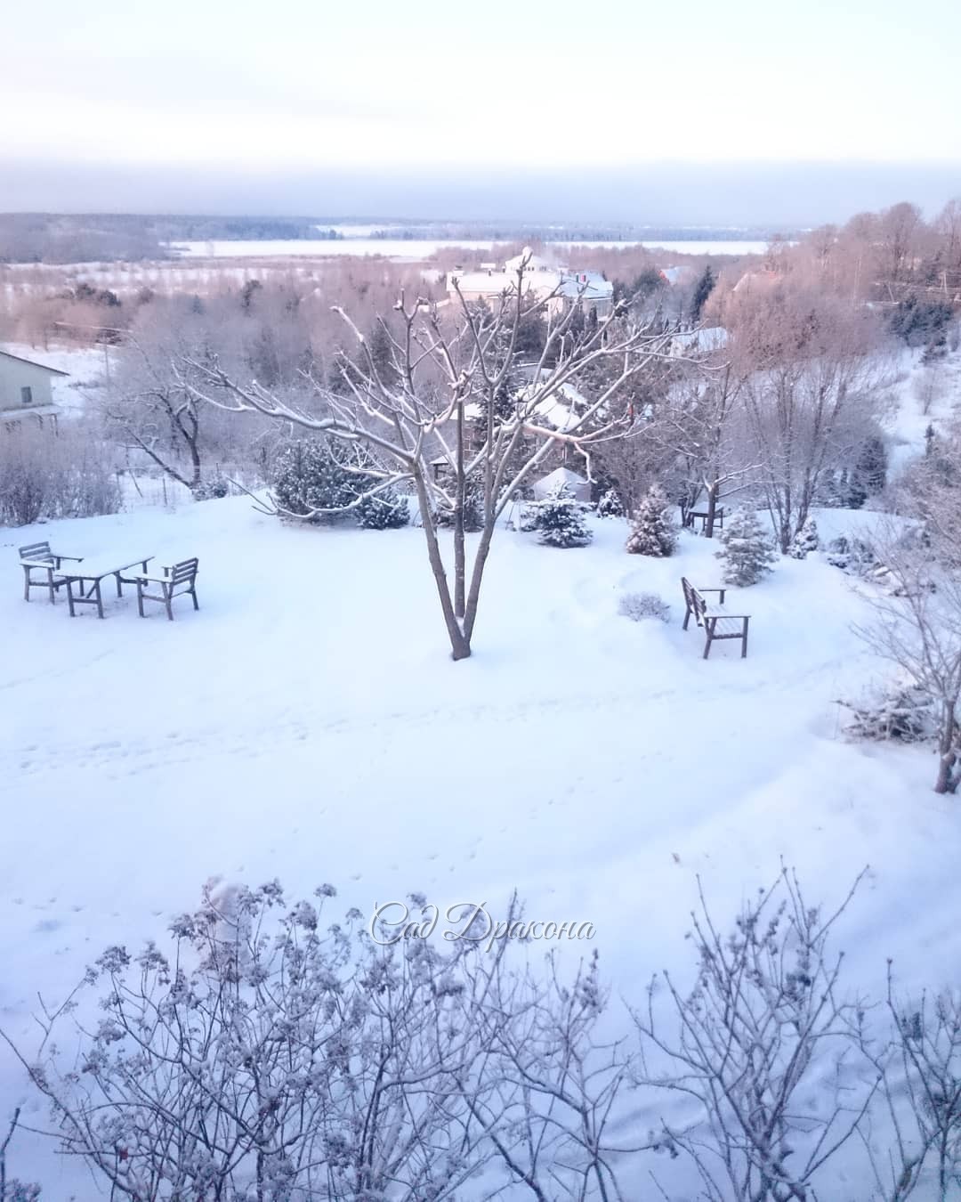 На рассвете 13 января. ?