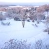 На рассвете 13 января. ❄
