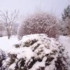 Шарики 😊❄❄❄🌳