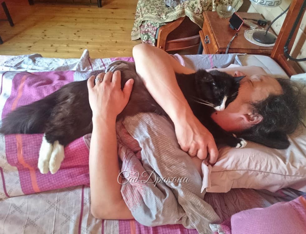 В День Объятий. ??? ?