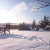 Ясный день, пушистый снег! ❄ 💙☀