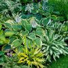 Кто соскучился по зелёненькому? 😊🍀🌿🌱