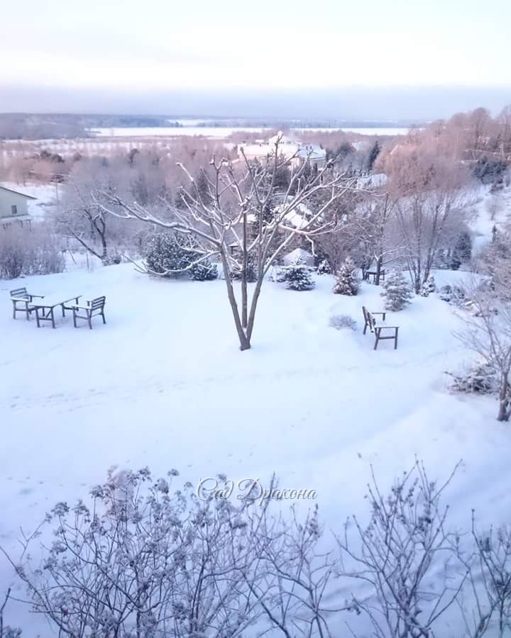 На рассвете 13 января. ❄