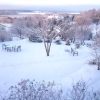На рассвете 13 января. ❄