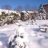 Хорошо под синим небом ёлочкам 🌲кошкам 🐈😻и человечкам 💃🙆💙☀