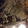 Ночь 🌃 ❄❄❄