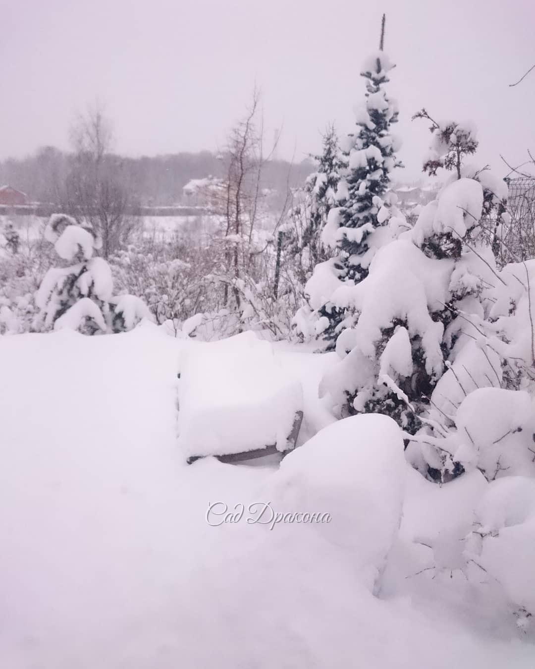 Была скамеечка... ? ?????