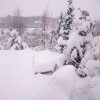 Была скамеечка... 🙄 ⛄🌨❄❄❄