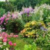 Много белого снега хочется разбавить яркими картинками 🌸🌿🌻