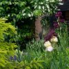 💚 Прошлое лето, июнь - жасмин, шалфей и ирисы цветут у крыльца . 🌿☀💐