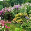 Много белого снега хочется разбавить яркими картинками 🌸🌿🌻
