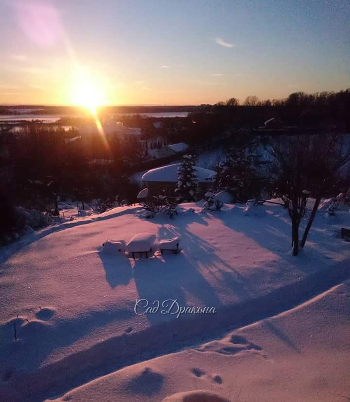 🌅 Мороз, искрится снег! ❄