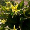 Шаманим весну. 🌻💛🌻
