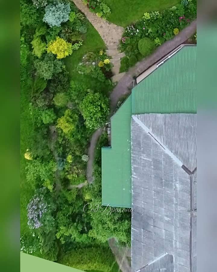 Вид с дрона на "Зону весны" в июне.🍀 От полукруглой изгороди до лестницы, ведущей на большую поляну.🍀 Деревья распушились, мало, что видно.🌳💮