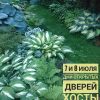Сад посвежел после дождей, 🌧 цветут монарды, шалфеи, ранние астильбы, 🌸 300 хост манят разнообразием 😊 🌿💚 Приглашаем прогуляться по зелёному распушившемуся саду! 🌼💚🌸🌱💚