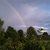 Сегодня вечером нам повезло с красивым небом 🌈 - радуга раскинулась прямо над нашим садом, над деревней. И солнце было, и облака, тихо и величественно.))