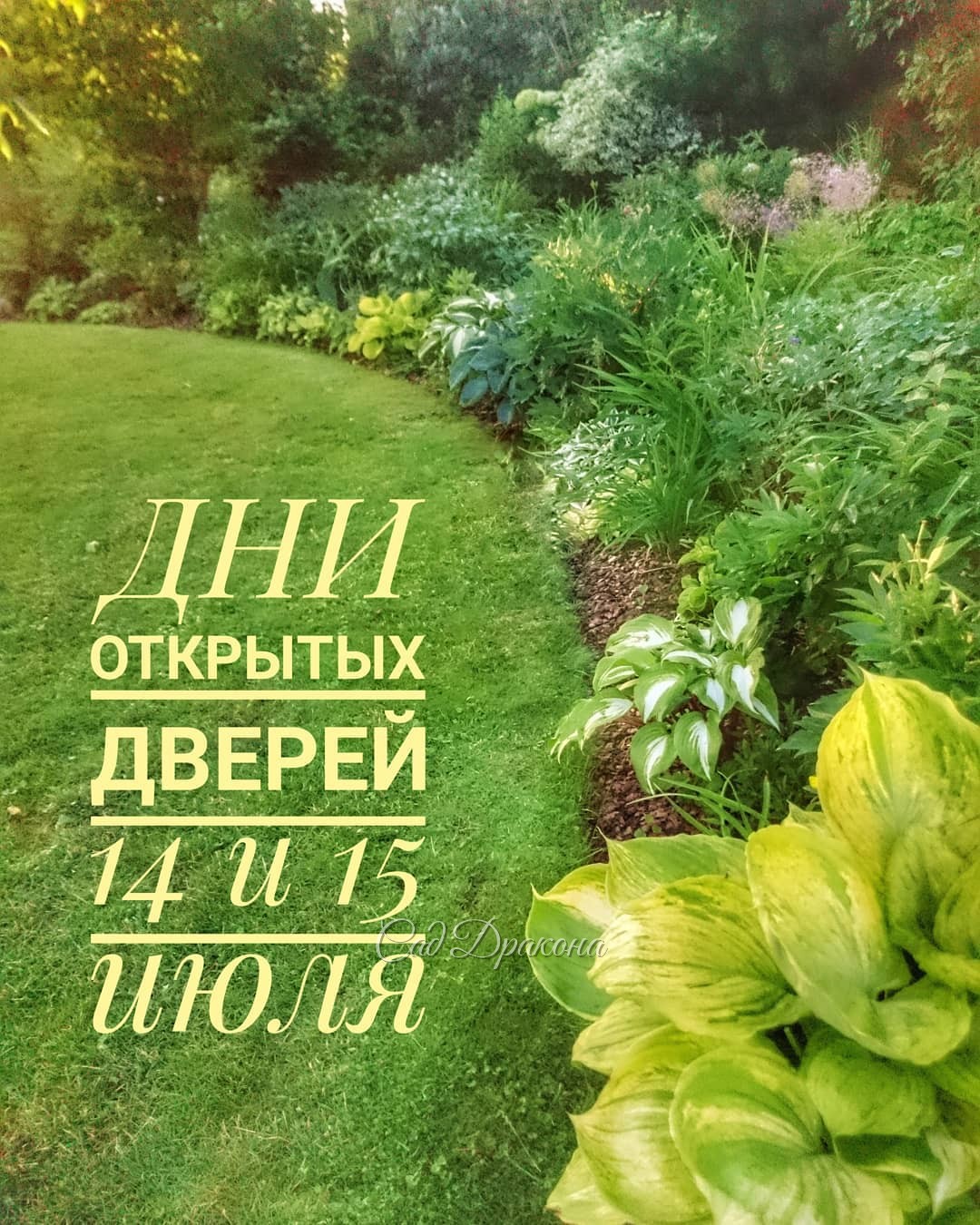 Стоят волшебные летние дни, цветут астильбы, монарды, лилейники ? Хосты стали большими и яркими ? Приглашаем посмотреть на сад в середине лета! ???