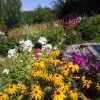 Цветы августа, цветы нижнего сада. 🌻🌸🌺🌼💐