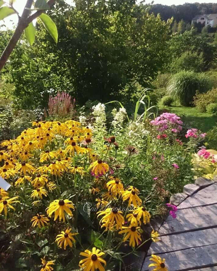 Лето, задержись! 🌻☀😘