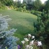 Вид в обратную сторону, на дом) 🌲🌸 Поляна насыпана с уклоном, чтобы вода стекала 💦 Уклон к юго-западу, повторяет естественный склон холма. А от дома кажется, что поляна ровная.😉