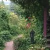 Осень?.. Лето! ☀ Завтра +25° ☀😌 Останетесь с нами, солнечные, тёплые дни, купание по 2 раза, работа в саду в маечке и шлёпанцах... Сколько счастья дарит нам лето, и у всех оно своё. 😊 Что для вас самое главное в лете,🌻 что приносит больше всего радости?