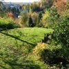 На "костровой" площадке у беседки свои виды и краски 🌲🍂🌿💛🍃☀🍁