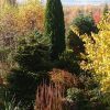 Спасибо октябрю за подаренное тепло и солнечные дни! ☀🍁 Пусть завтра и похолодает, сегодня мы ещё работаем налегке! 👒