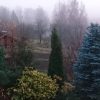 Туманный вечер 🌫🌫🌫