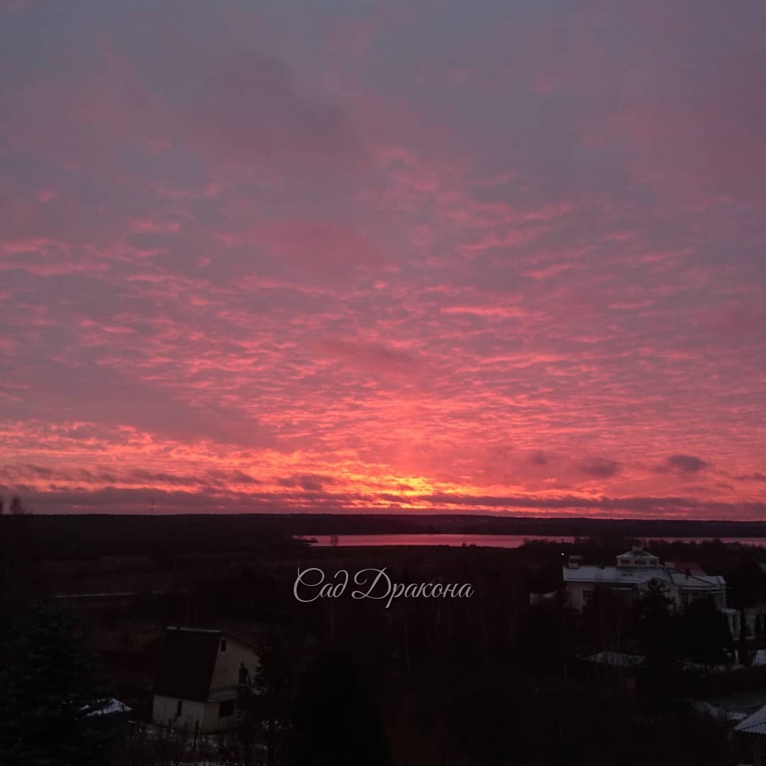 Сегодняшний невероятный закат, 🌅 обещает, наверное мороз! 🌬 Здравствуй, зима? 😍 ❄️⛄️🌨