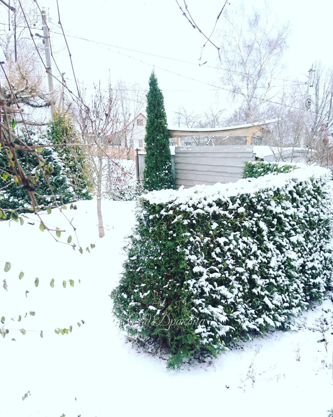 Немного добавилось снега ❄️❄️❄️
