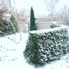 Немного добавилось снега ❄️❄️❄️