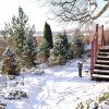 Смена сезона ❄️☀☃️