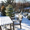 1 декабря ❄️ Снежный покров 3см ❄️ Желаем всем солнечной, лёгкой зимы! ☀
