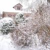 Традиционное зимнее фото нашего "домика в деревне" 😀❄️🏡 Сегодня уезжали в Москву в такой красоте, на улице 0° и тишина... ❄️❄️❄️