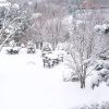 Зимний пейзаж ❄️❄️❄️