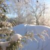 Пусть будет побольше солнечных дней! 😍☀❄️🌲😀