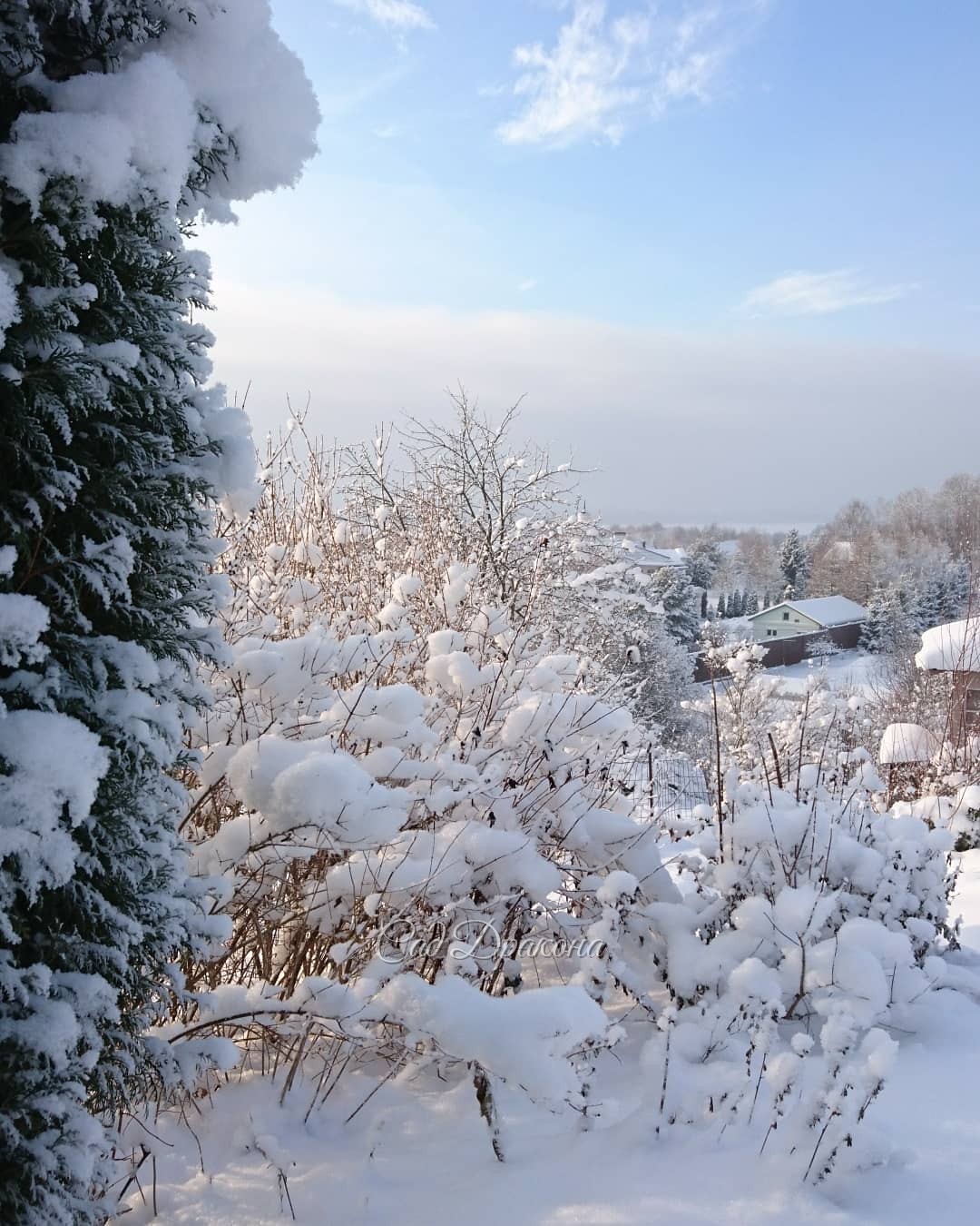 Синее небо и солнечный свет - 💙☀ роскошь для декабря ❄️⛄️🌨🐦❄️ Снег - нежный, как пух! ❄️❄️❄️ ☁️☁️☁️