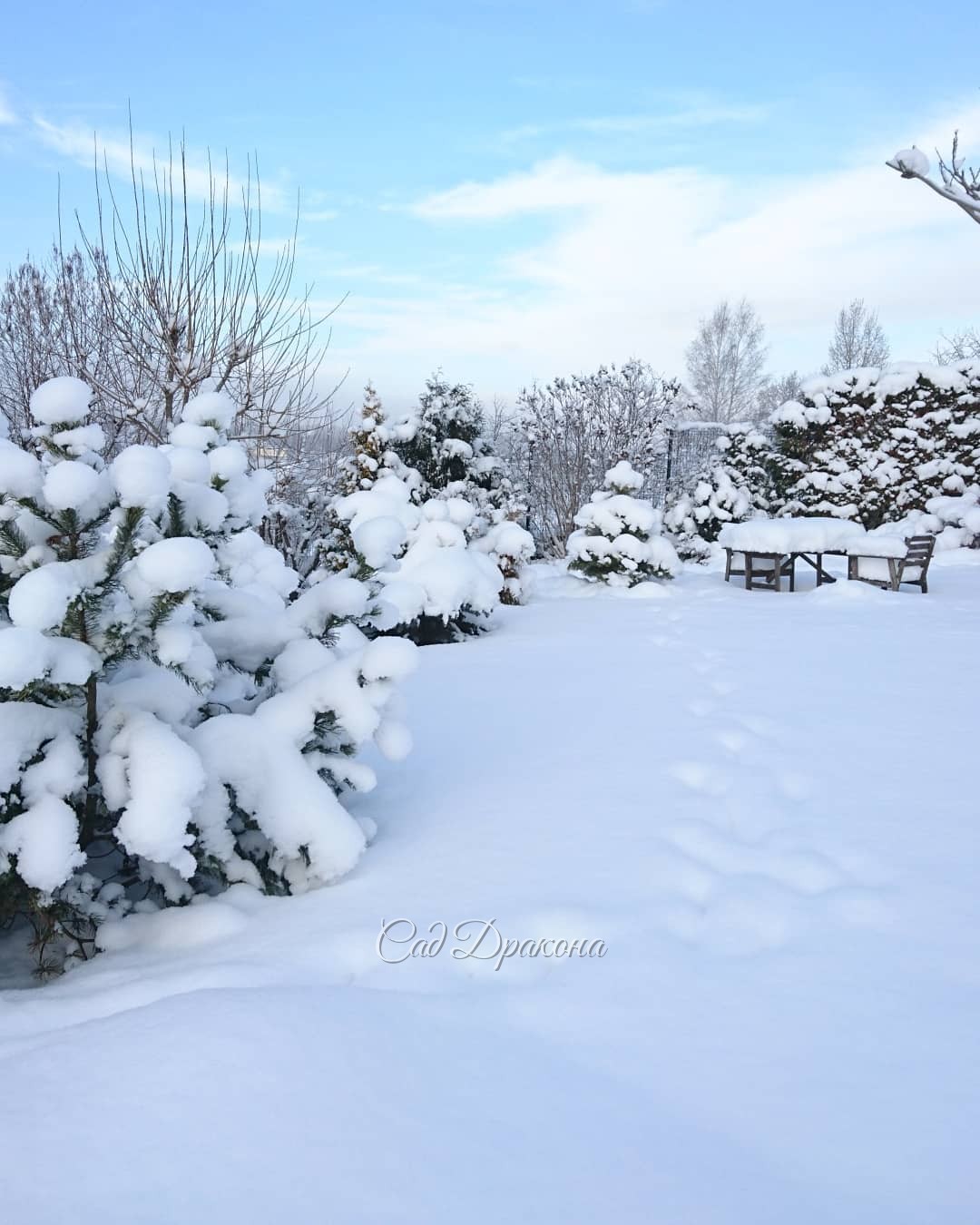 Синее небо и солнечный свет - 💙☀ роскошь для декабря ❄️⛄️🌨🐦❄️ Снег - нежный, как пух! ❄️❄️❄️ ☁️☁️☁️