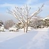 Синее небо и солнечный свет - 💙☀ роскошь для декабря ❄️⛄️🌨🐦❄️ Снег - нежный, как пух! ❄️❄️❄️ ☁️☁️☁️