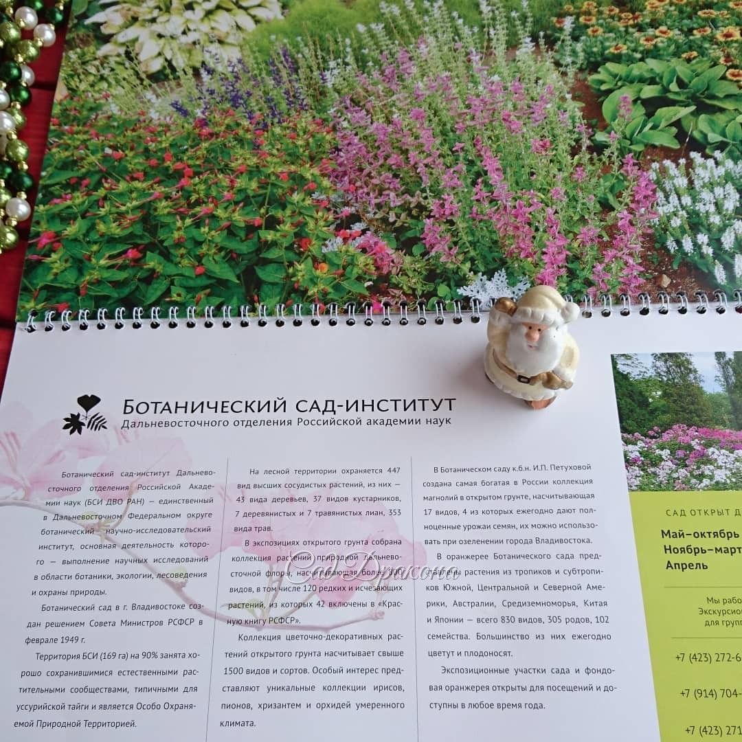 Иногда, чудесным образом, ?? места, где мечтаешь побывать, оказываются прямо у тебя дома! ?? , спасибо огромное за сюрприз! ??? С этими прекрасными фото растений и пейзажей, увидеть ваш сад воочию стало ещё желанней! ? С наступающим Новым годом, дорогие д