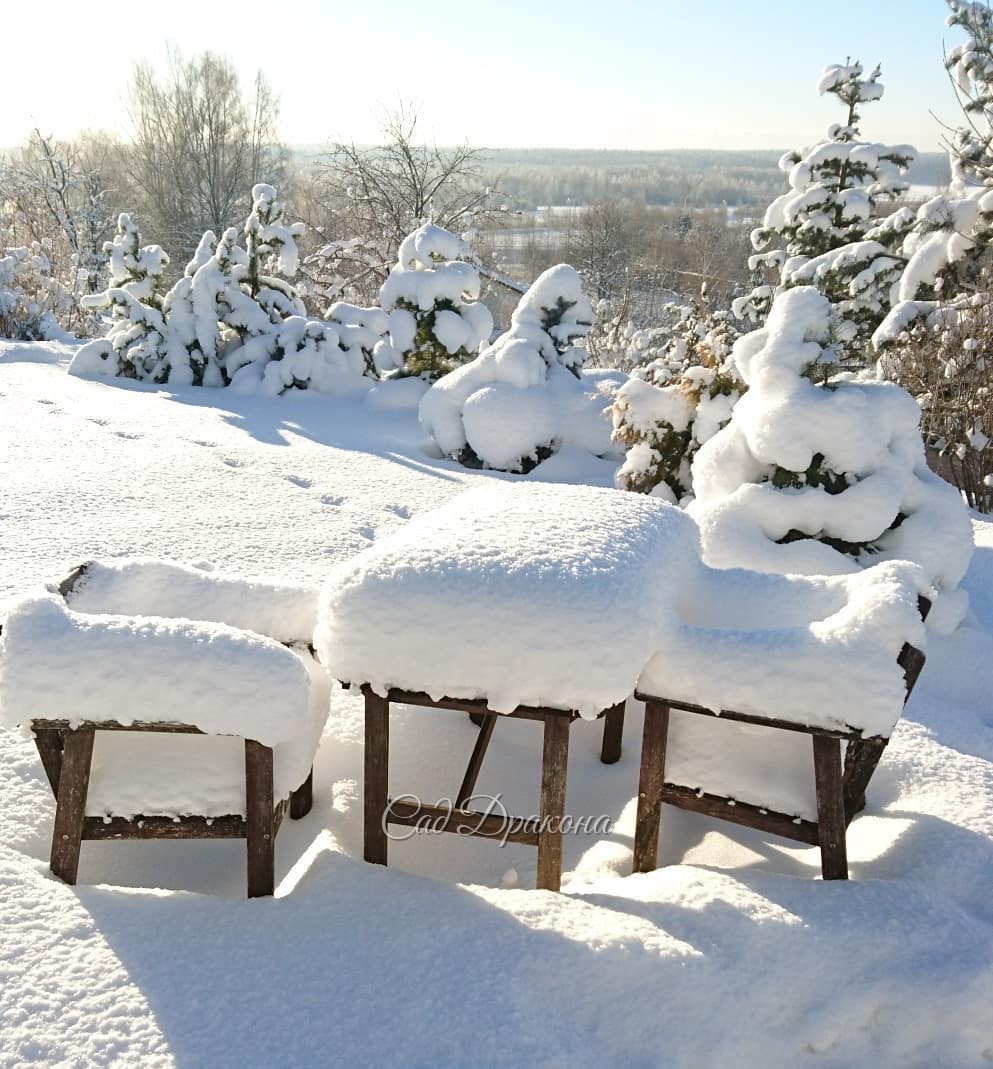 Сегодня -3°, ☁️☁️☁️ и всё начинает таять. Но ёлочки в палантинах и шубках, ❄️🌲и лиственные в снежных облачках, ☁️❄️ останутся в наших лентах, и в памяти об этом волшебном декабре 2018. ❄️☀🌨