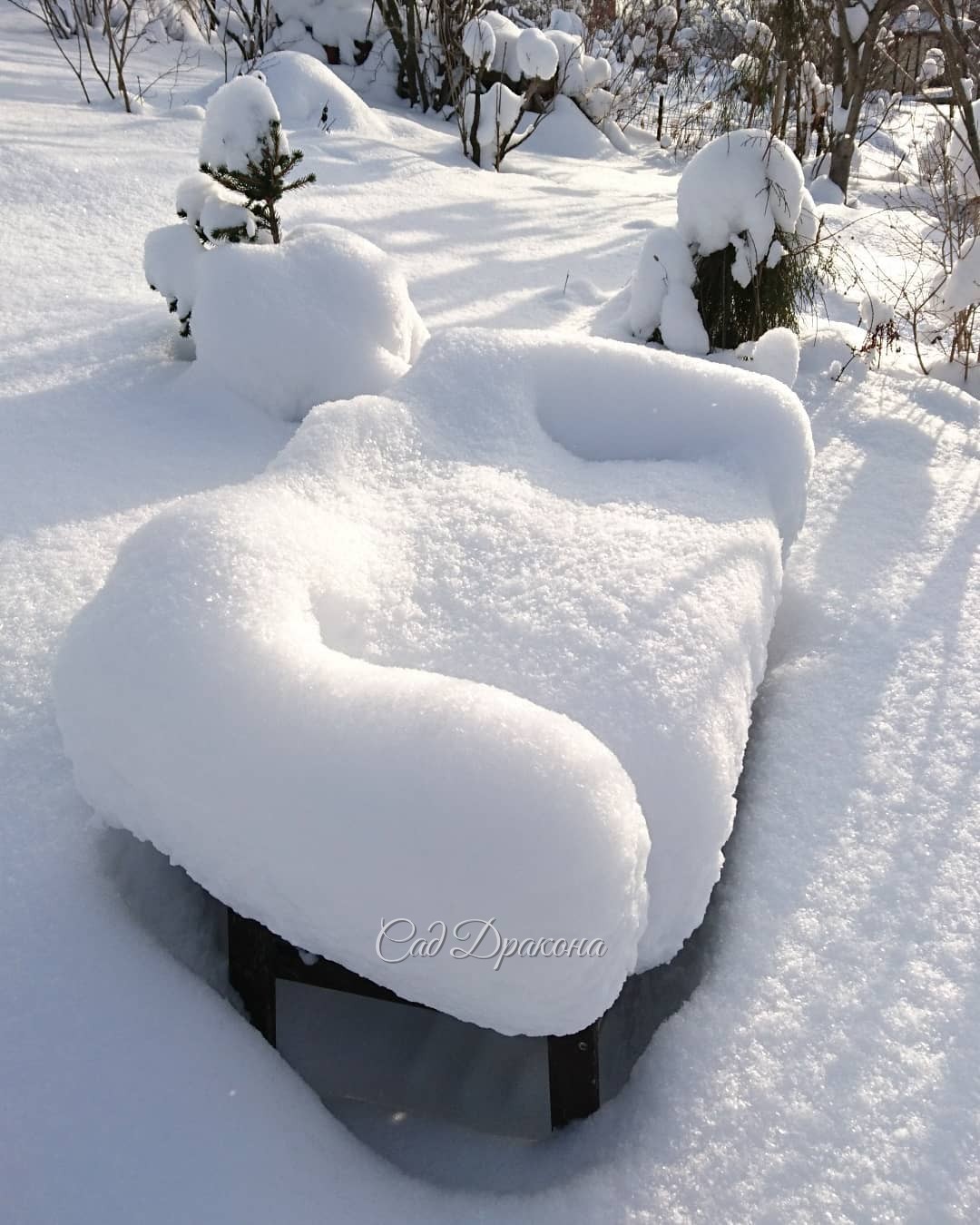 Нижний сад - листайте! 😁Садовый диван, ☁️ площадка, на которой он стоит - всё такое мягкое!☁️☁️ 😁 На фото 3 - "облачка" на сирени Мейера. ☁️☁️☁️